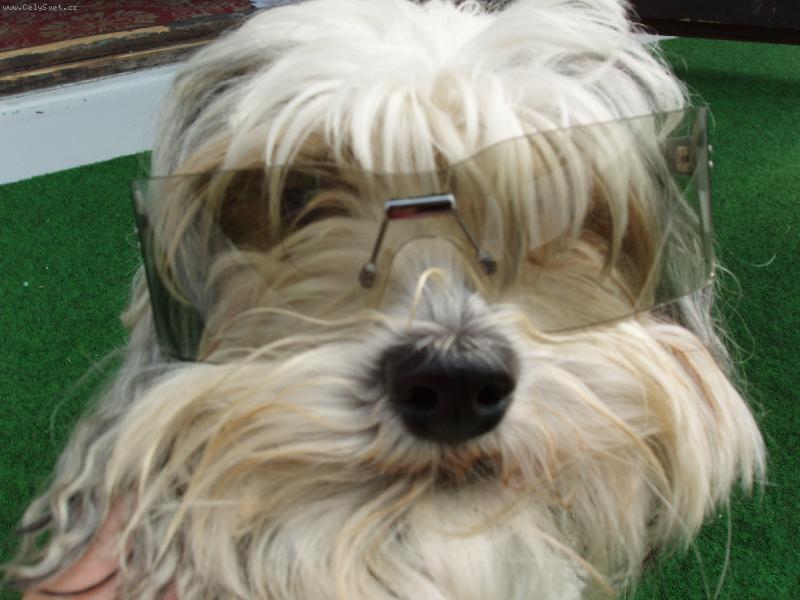 Foto: Rocky-Jsem Jackson... kdo je víc??