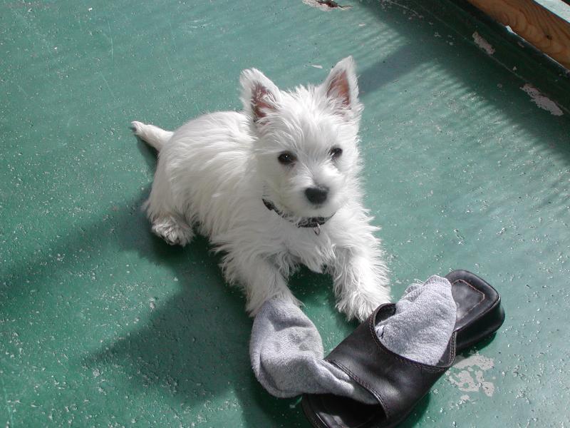 Foto: Boty mám ráda =)-Ahoj já jsem Kačenka =)