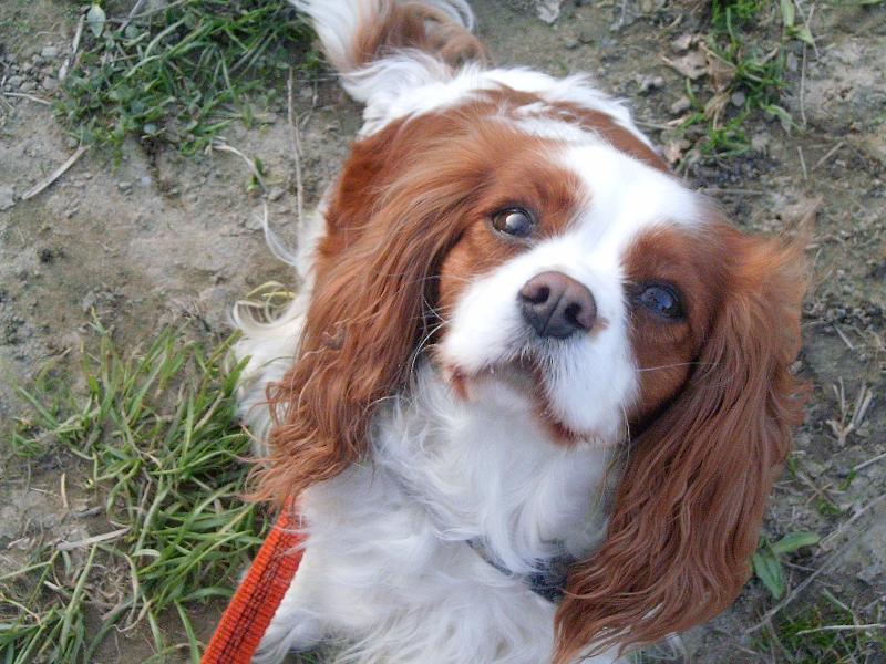 Foto: Lucííška-jak to kouka:-) tomu neodolas a posles 5 bodu vid?:-*kujiiii