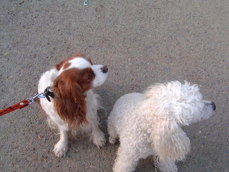 Foto: Lucííška-Miška probehla!!!!!!!