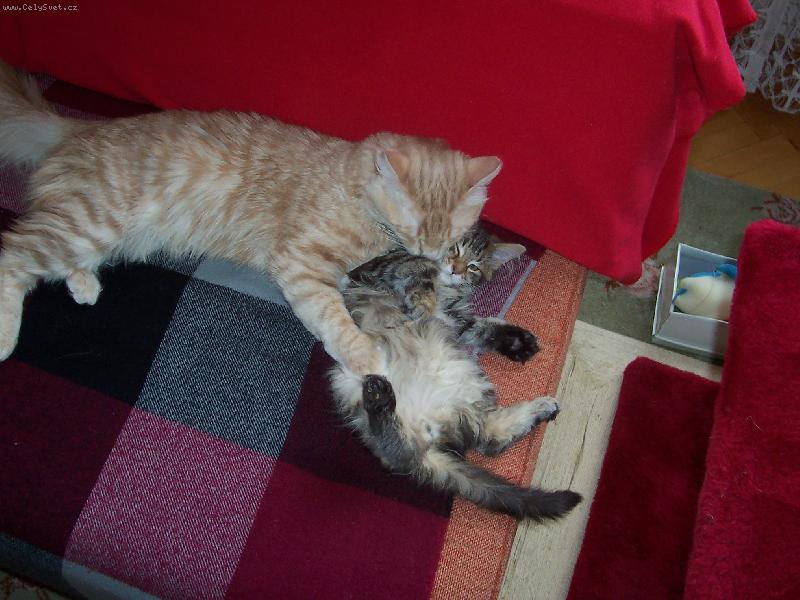 Foto: Tak moc se máme rádi!