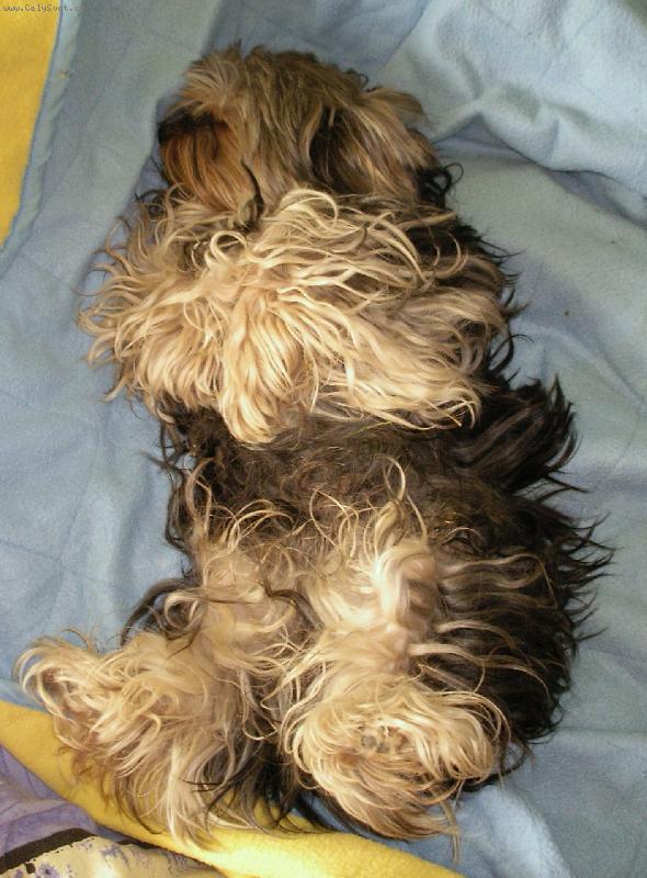 Foto: Spáč-často chrápe!