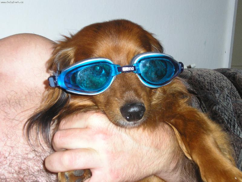 Foto: ferda plavčík-příprava na sezonu