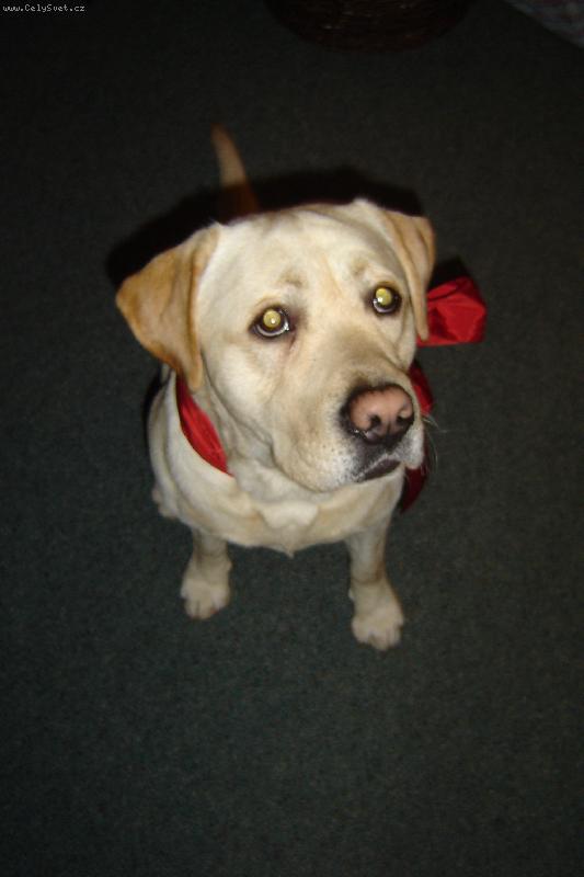 Foto: Moje Čokoláda