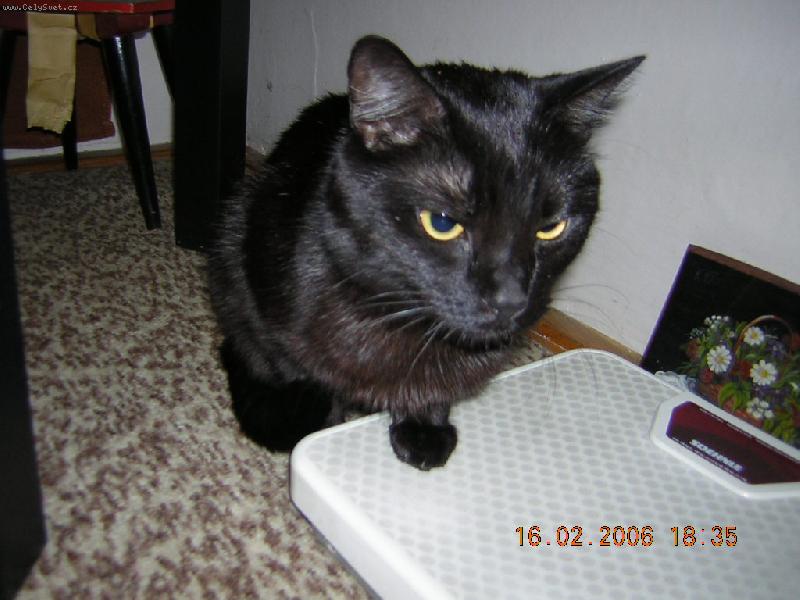 Foto: přibral jsem?