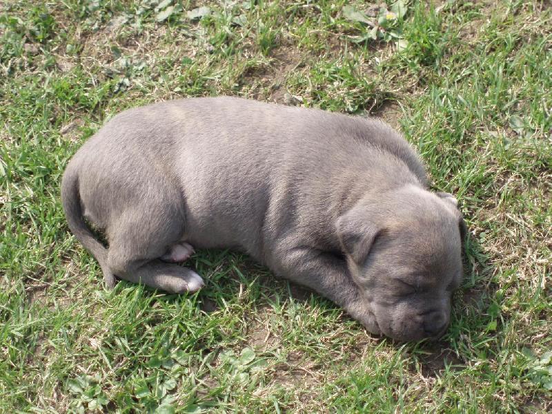 Foto: Můj malý piškotek-Tak teď mě nevzbudí nic, ani kdyby padaly bomby...