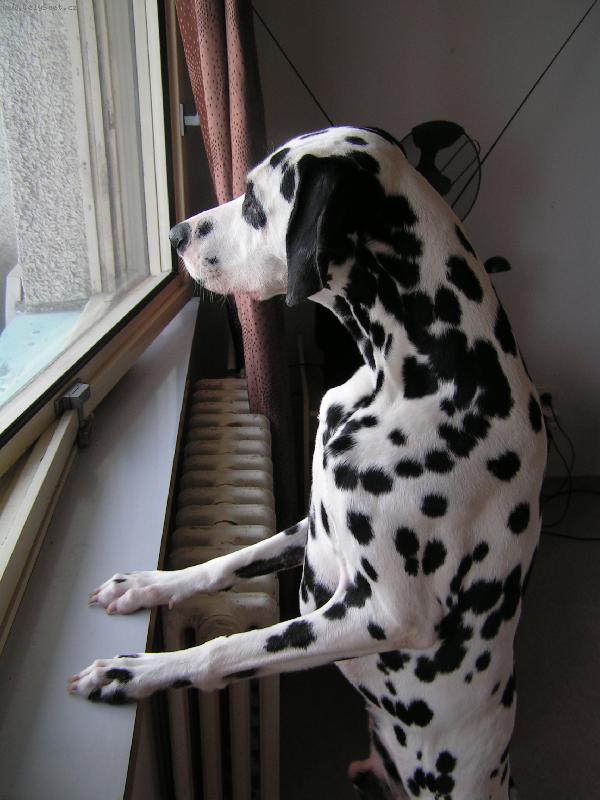 Foto: Co se děje venku ...