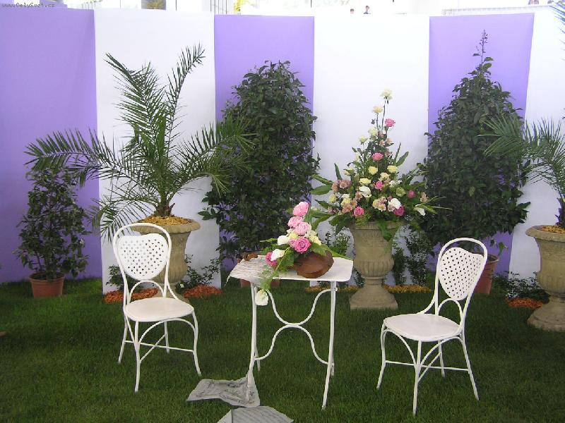 Foto: květinový ráj-Ol 2006