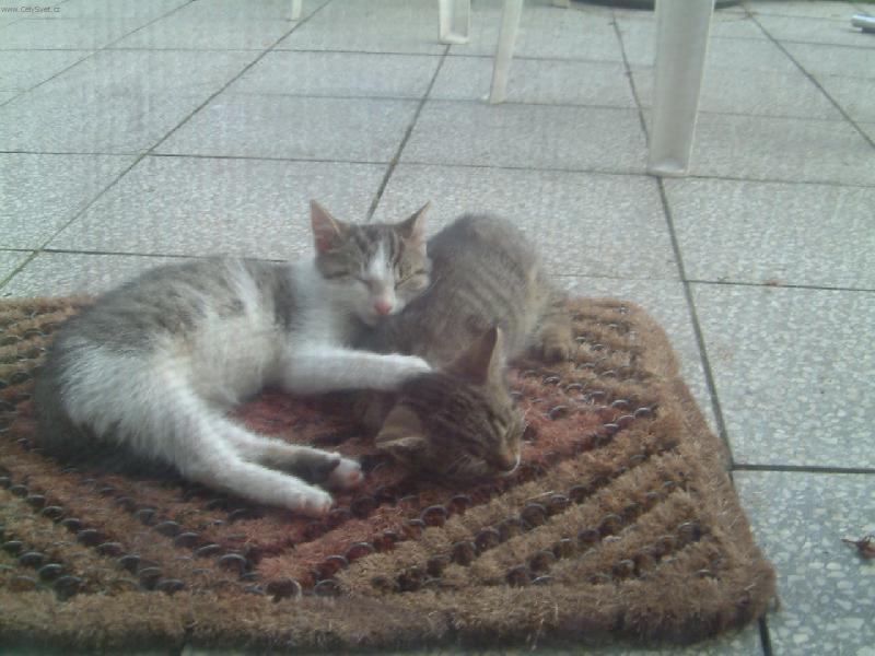 Foto: Brzy, brzy raníčko-Boženka a Růženka