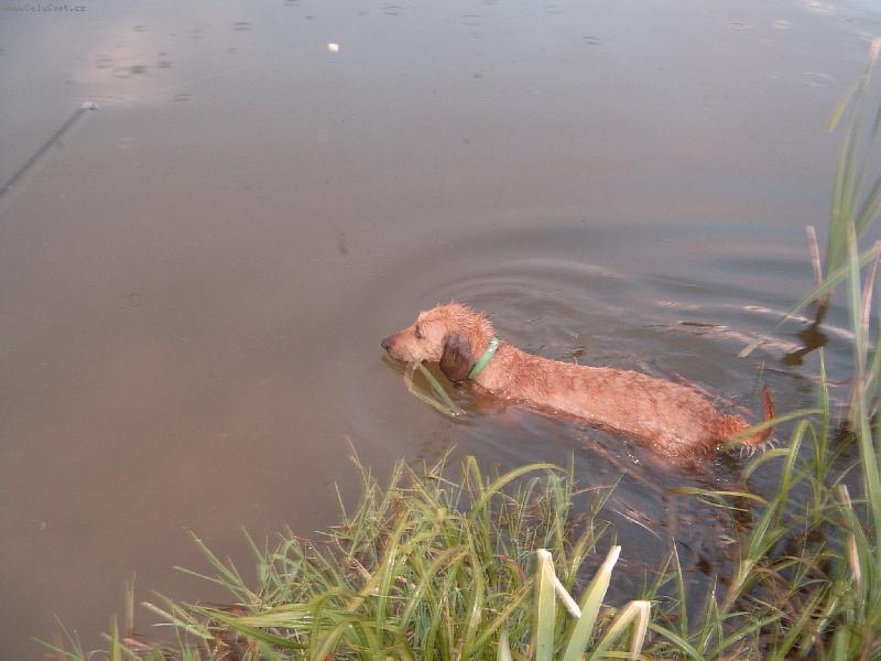 Foto: Mám ráda vodu.-Pořad se koupe.