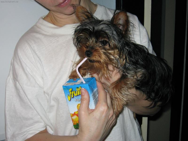 Foto: max-Mám žízeň