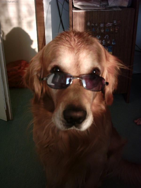 Foto: Caesarek-Chtěl být aspoň jednou za život frajerem :-))