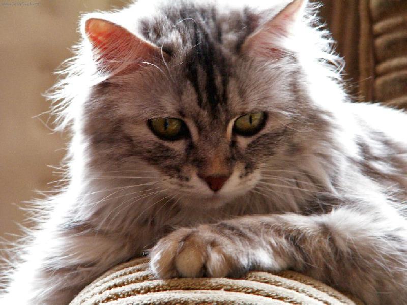 Foto: mex-To jsem krásná !!!!