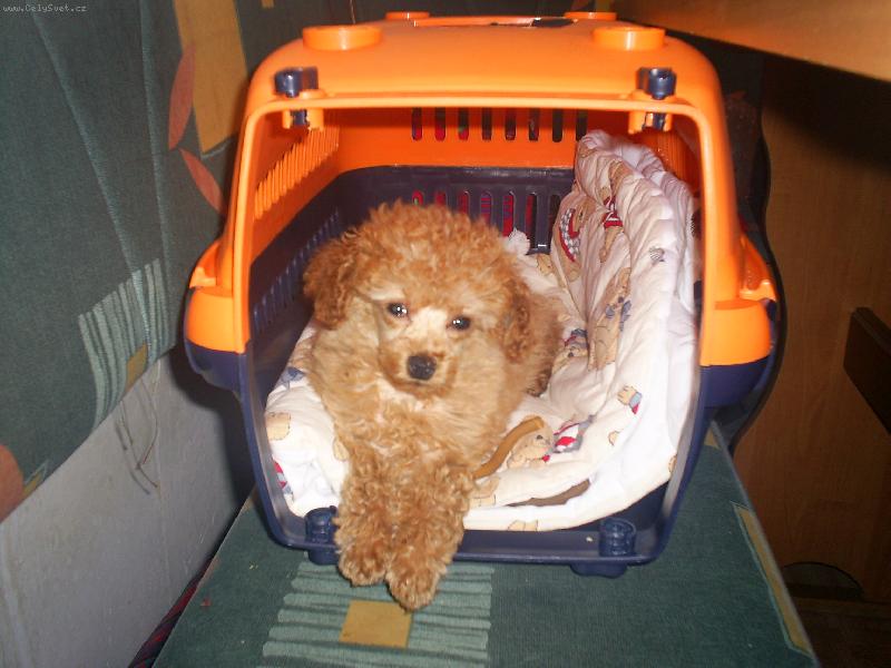 Foto: Zuzinka-moje odpočívárna