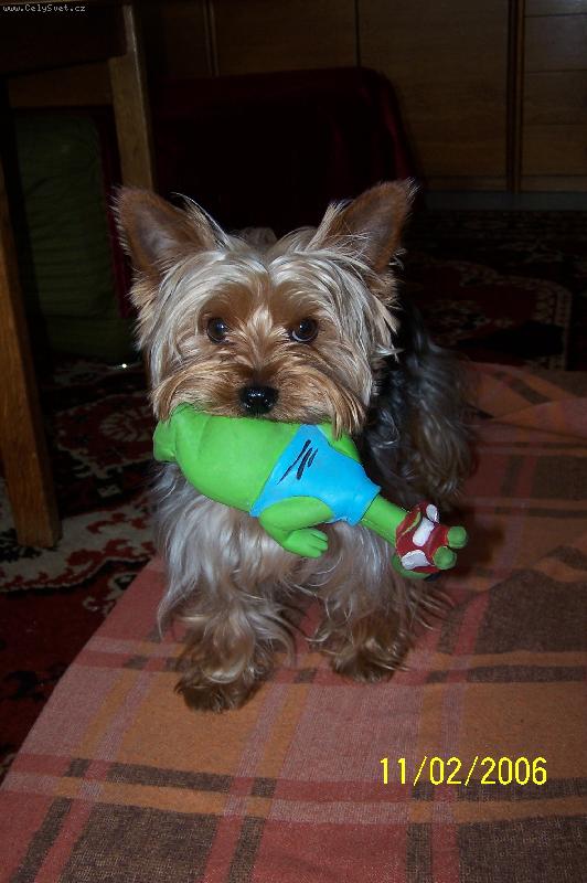 Foto: Naše miminko si chce hrát :))-"Když nahodím tenhle sladký kukuč,tak na mamku s taťkou to vždycky zabere:)"