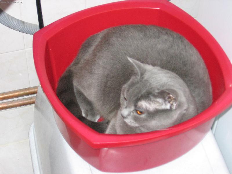 Foto: Beruška-To je pohoda