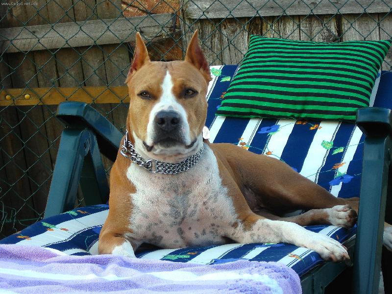 Foto: Madam DONA-Dělala obličeje a pózy jen abych jí fotil