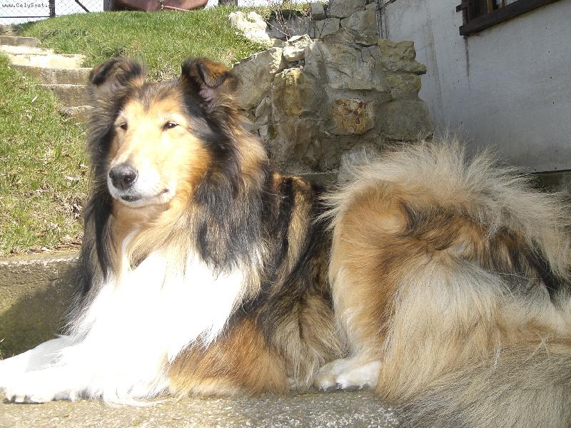 Foto: Beky-25.4. 2006