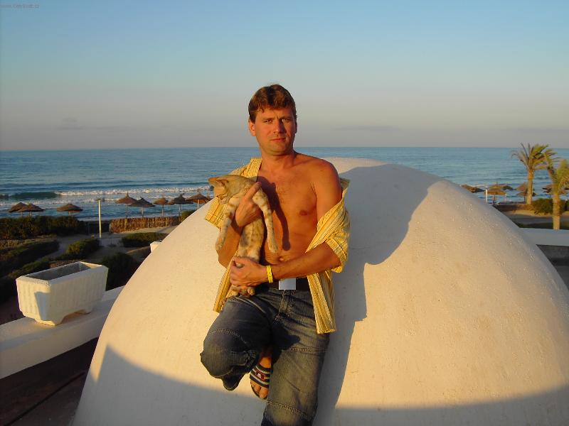 Foto: Krásne kočky jsou prostě všude?-ostrov Djerba