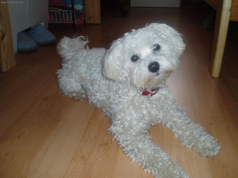 Foto: Bettynka-Toto je naše Bettynka!! Je to zlatíško!!