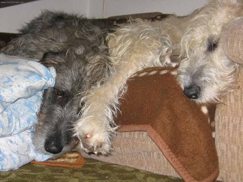 Foto: Leháro-Leháro