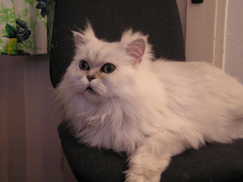 Foto: Zoro-Nevím kam bych se dřív podíval