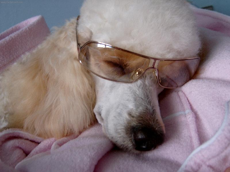 Foto: správná ochrama proti sluníčku