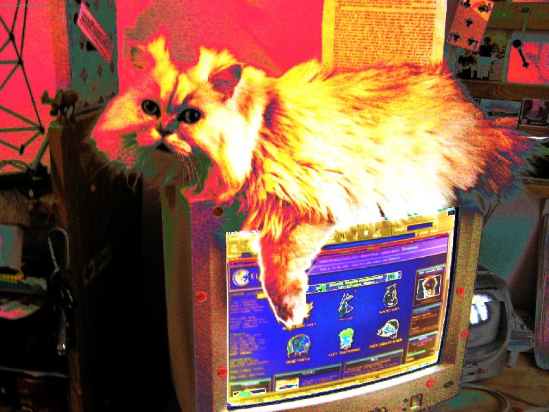 Foto: Zoro-Jsem v p...