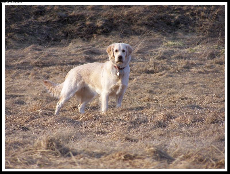 Foto: Hejdy-modelka Hejdy