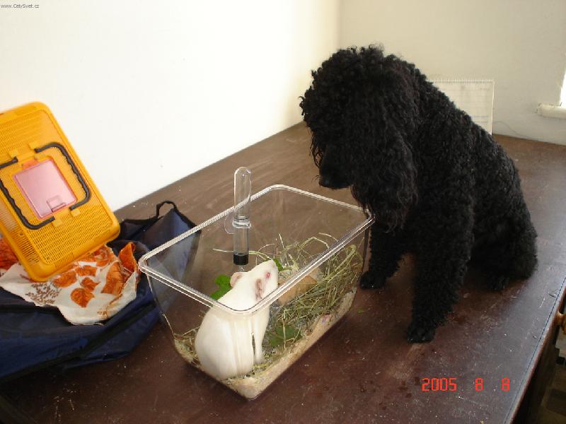 Foto: Tomík+Julinka-hmm...co to může být?