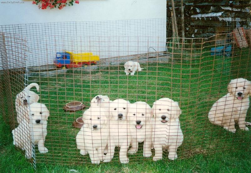 Foto: Bretíček mezi sourozenci-Tak, kterýpak jseš?