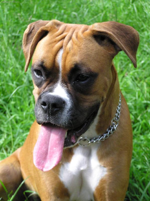 Foto: Aeminka-V létě mi bylo velmi horko