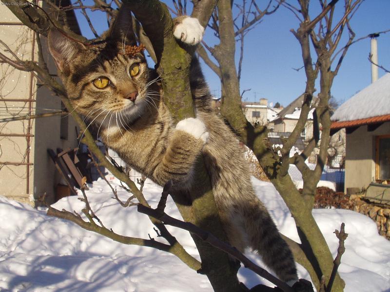 Foto: MOUREK-TEN LEPŠÍ POHLED NA SVĚT