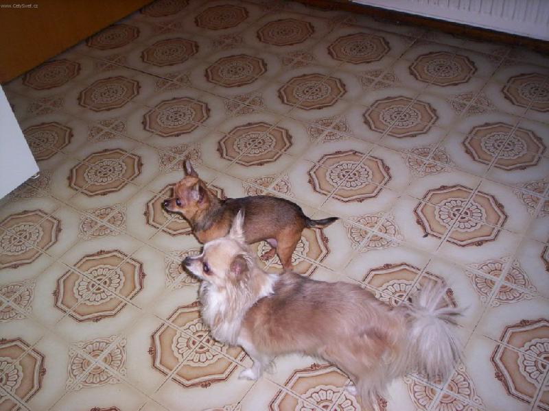 Foto: my dva a mlsání