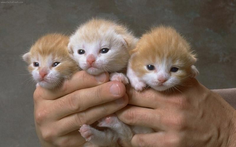 Foto: První pohled na svět