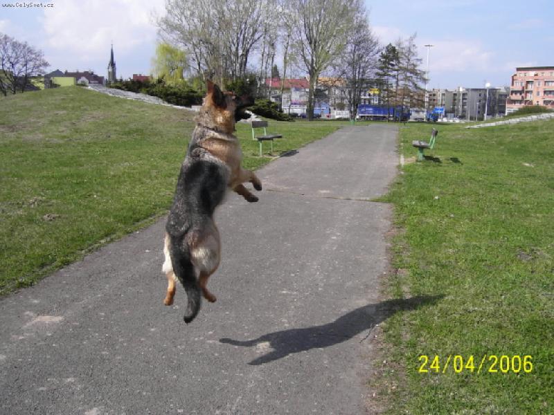 Foto: Besinka-Ó já letím