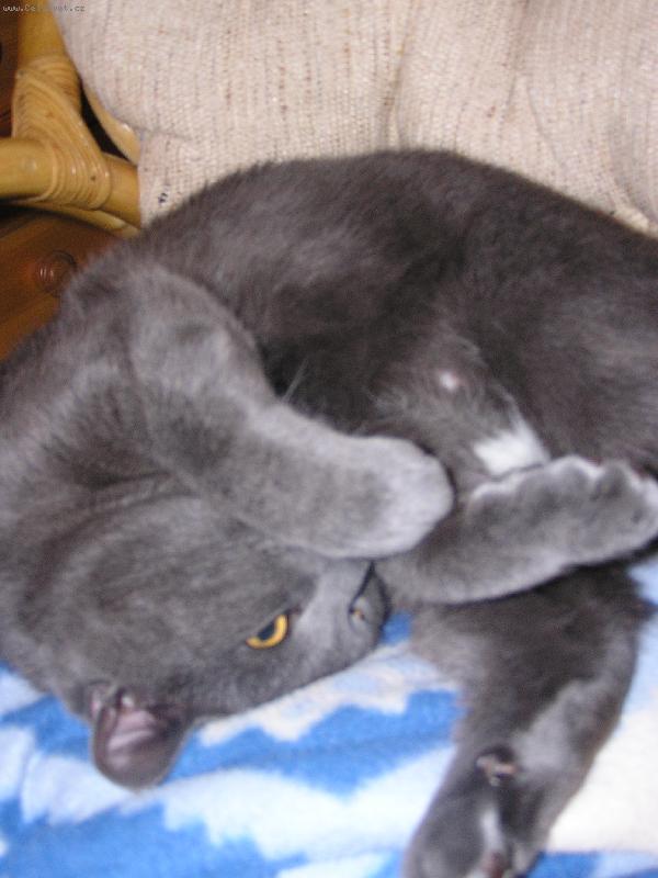 Foto: odpočívám, nerušit! :-) IV