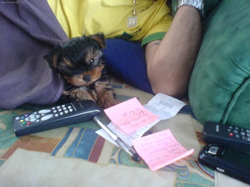 Foto: Speedy-Ach jo, to mě dnes ještě čeká papírováního . . .