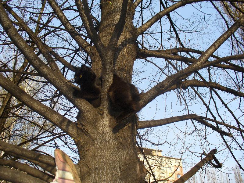 Foto: Mikeš-Panečku! To vám je rozhled!