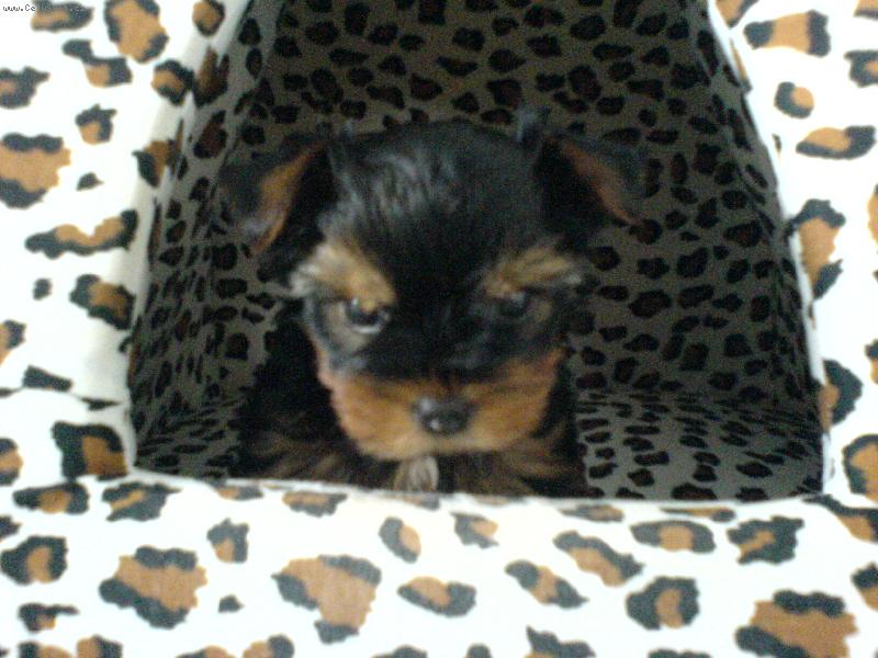 Foto: Speedy-To je kulišáckej pohled . . .