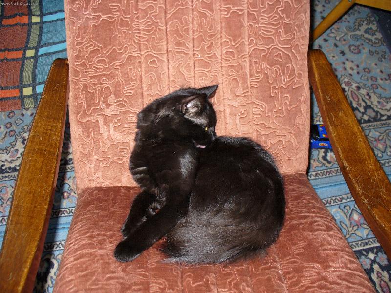 Foto: Mikeš-Chci se pohoupat....