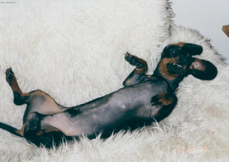 Foto: Raději bych bral solárko než gaučík-Kryštof - pohoda