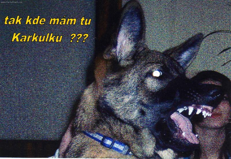 Foto: karkulka-tak kde mám tu karkulku....