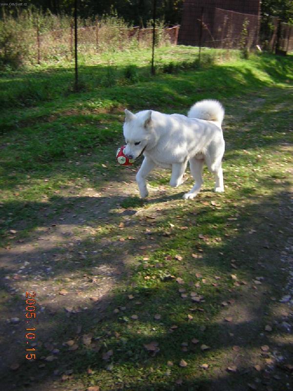 Foto: Akimek-hra s micem-Pojdte si semnou zahrat