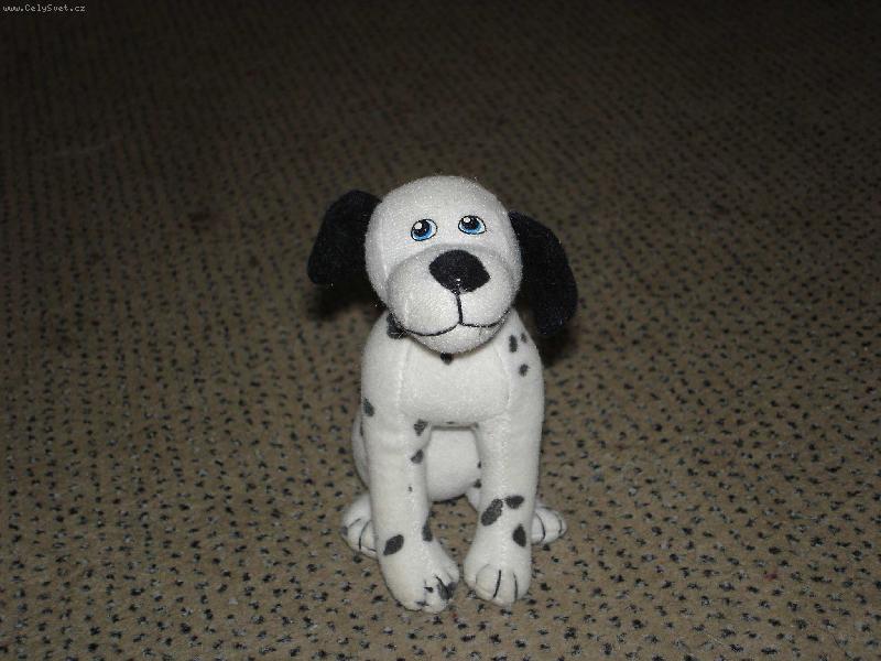 Foto: Haf!-Náš dalmatínek