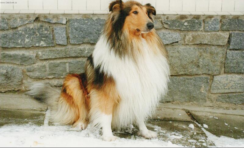 Foto: Maxík-Alan pod Zelenou Horou