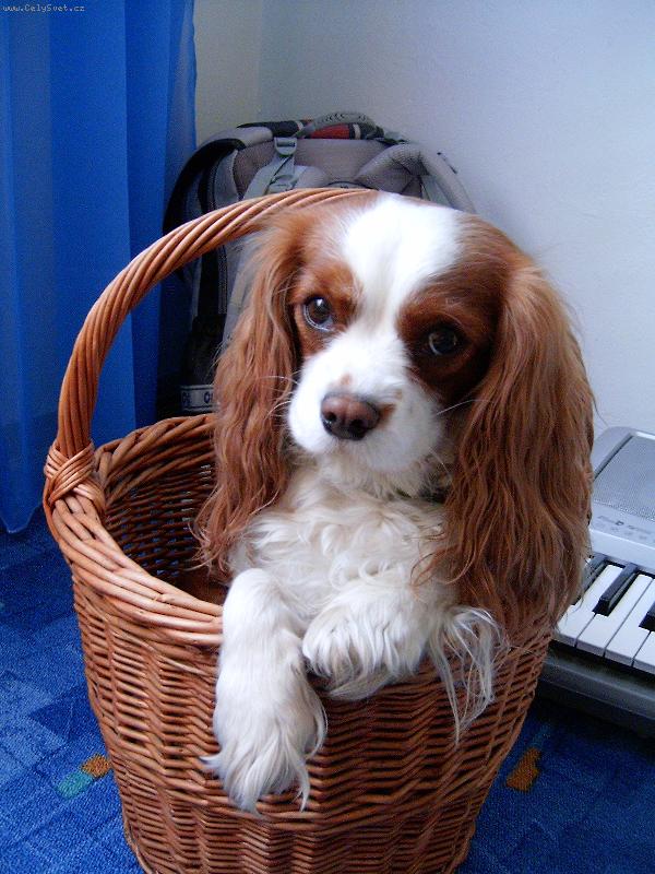 Foto: Lucííííšek