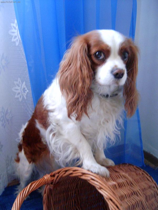 Foto: Lucííííšek