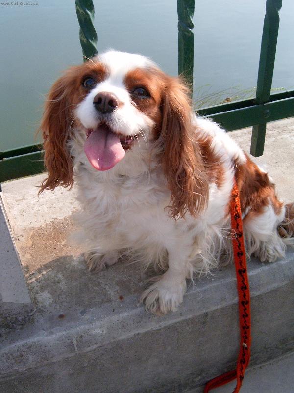 Foto: Lucííííšek