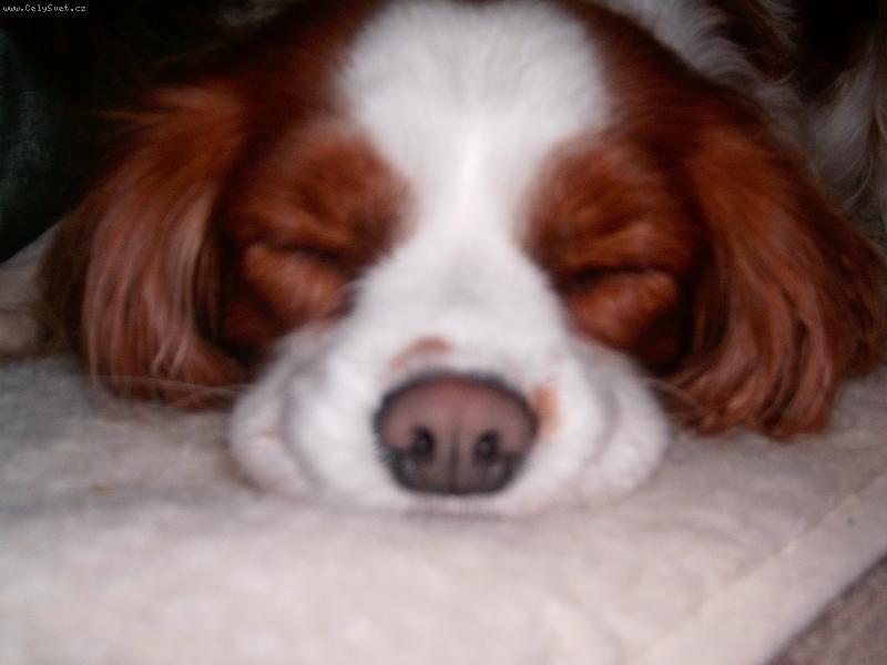 Foto: Lucííííšek